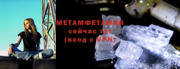 трава Абаза