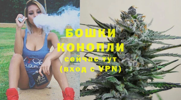 шишки Абдулино
