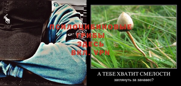 стаф Горнозаводск