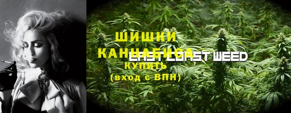 трава Абаза